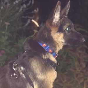 Meet your Posher, Michael